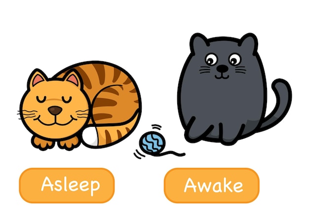 Opposite words asleep and awake vector illustration