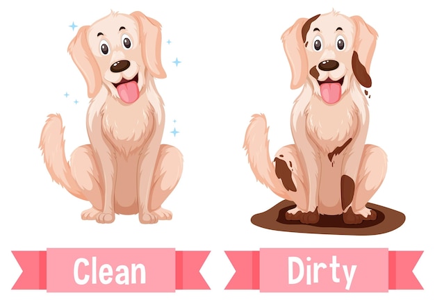 Opposite words for clean and dirty