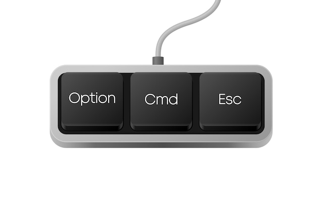 Option Cmd Esc button combination Computer Keyboard Word on pc computer keyboard Vector illustration