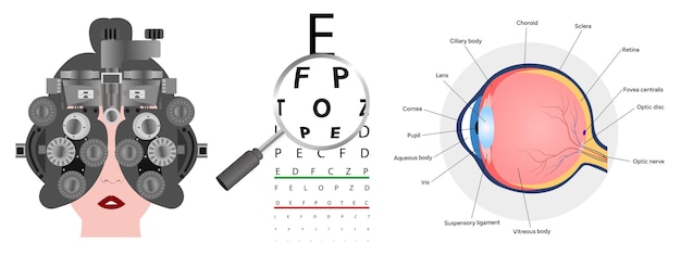 Vector optometry eye health care vision examination diagnostic with eye anatomy