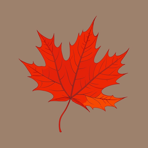 Orange Autumn leaf Design