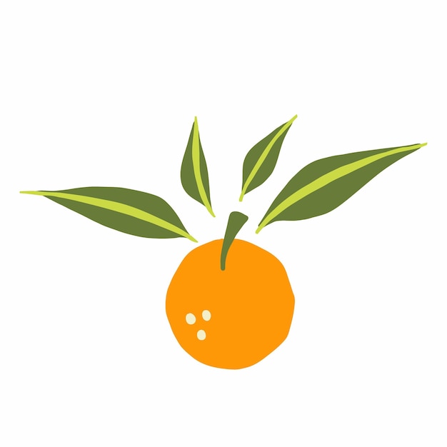 Orange branch Exotic tropical mandarine citrus fresh fruit whole juicy tangerine with green leaves vector cartoon minimalistic style isolated illustration print or banner label or poster sticker