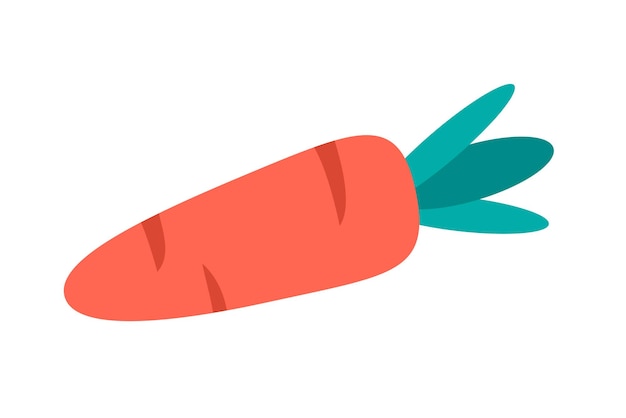 Orange carrot in flat illustration