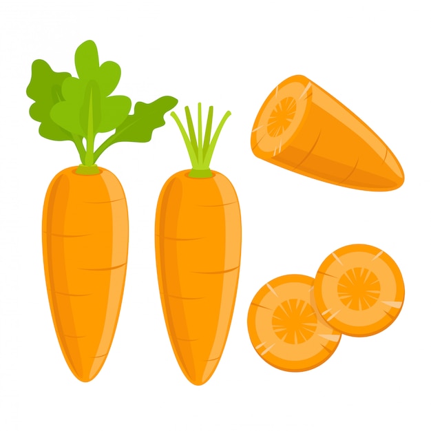 Orange Carrot Fresh