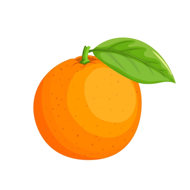 Orange citrus cartoon vector illustration