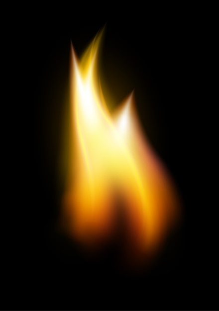 Orange flame tongue element