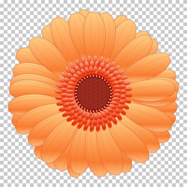 Vector orange flower