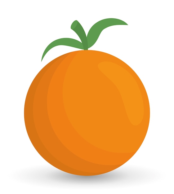 orange fruit healthy organic food icon