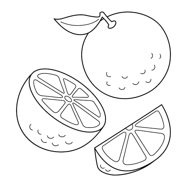 Orange Fruit Isolated Coloring Page for Kids