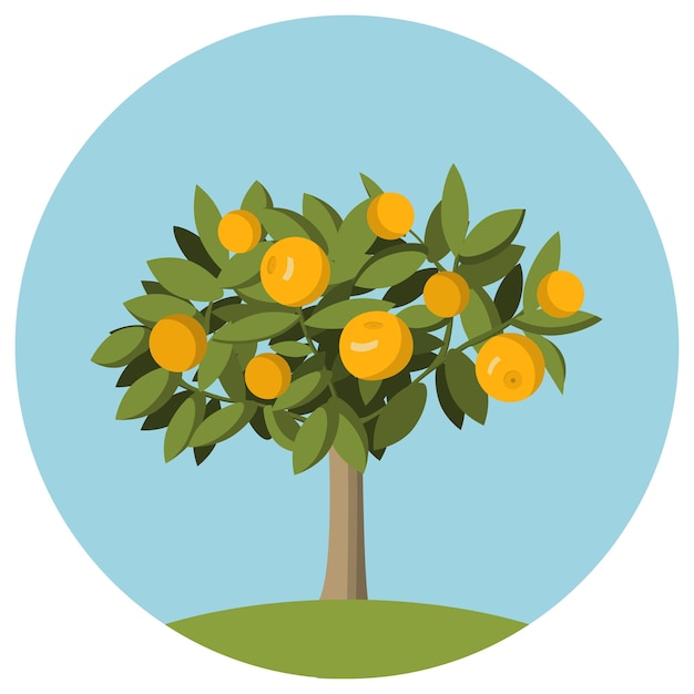 Vector orange fruit tree