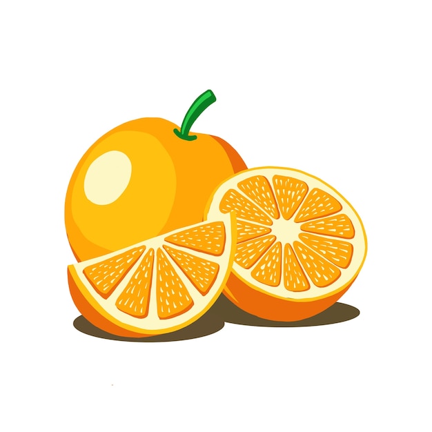 Orange fruit vector illustration. good for fresh fruit product