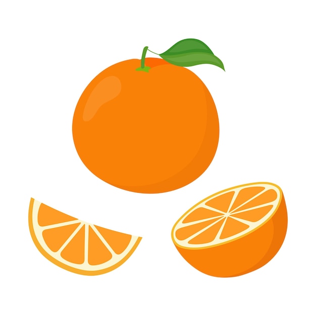 Orange fruit vector