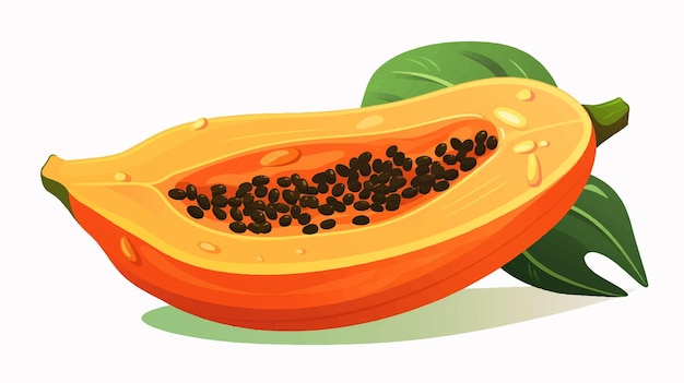 Vector an orange fruit with black seeds on it