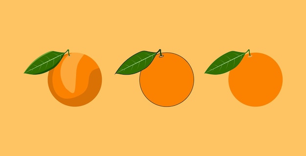 Orange fruits vector base