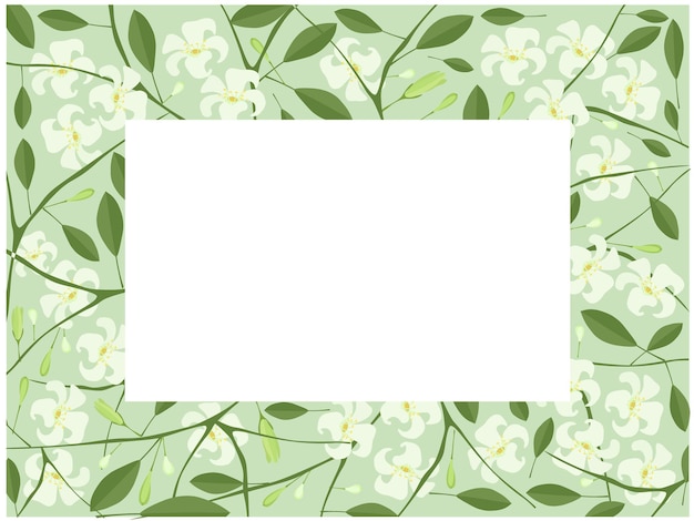 Orange Jasmine or Mock Orange Flowers Frame