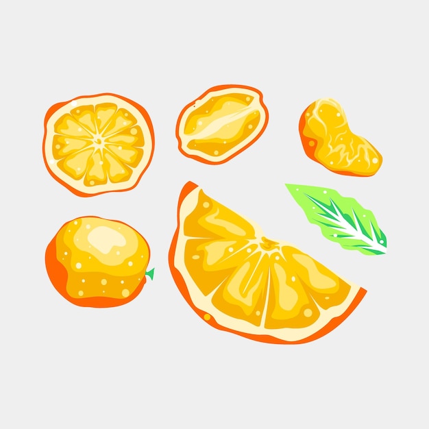 Orange and leaf collection fruit vector design