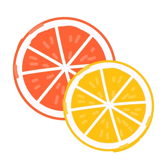 Orange and lemon slices flat vector illustration isolated on white