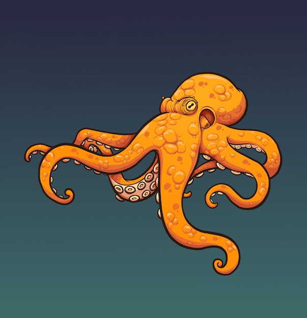 Orange octopus