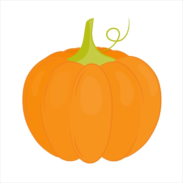 Orange pumpkin Cartoon style Isolated element