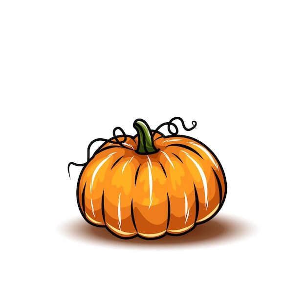 Orange pumpkin different types of Cartoon pumpkins halloween fall harvest gourds Pumpkins squash and leaves vector symbols illustrations Autumn thanksgiving and halloween pumpkins