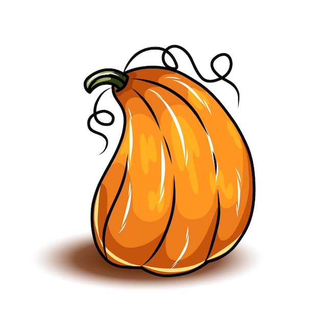 Orange pumpkin different types of Cartoon pumpkins halloween fall harvest gourds Pumpkins squash and leaves vector symbols illustrations Autumn thanksgiving and halloween pumpkins