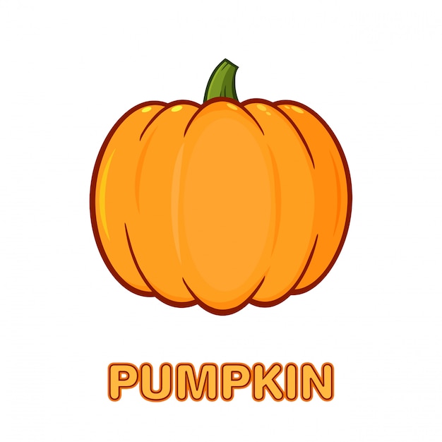 Orange Pumpkin Vegetables Cartoon Drawing Simple Design