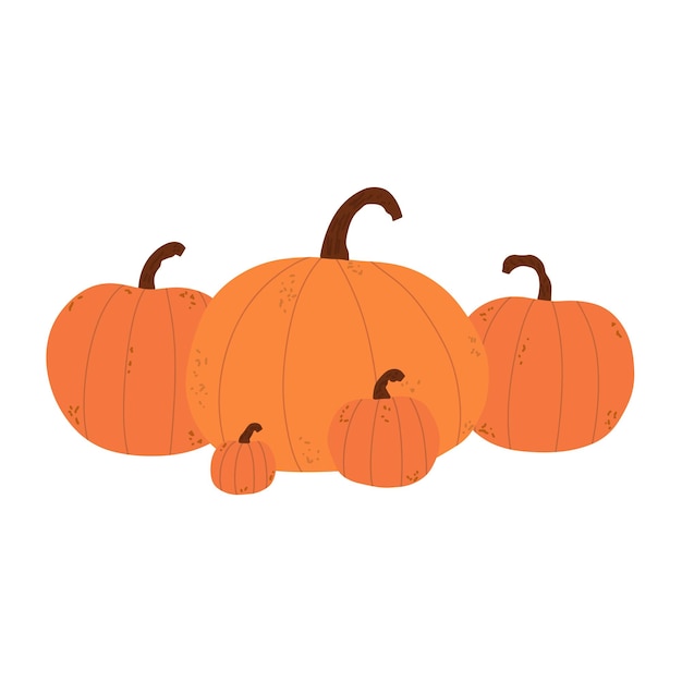 Orange pumpkins Harvest in autumn Thanksgiving Day Vector illustration hand drawn in style