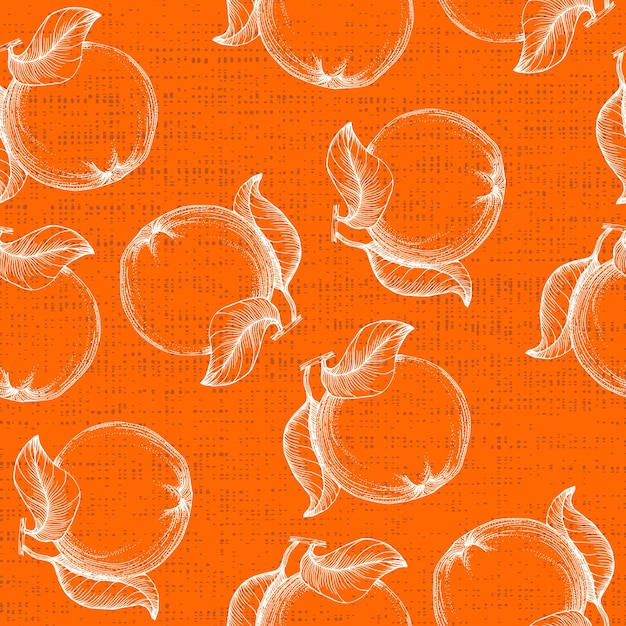 Vector orange seamless pattern hand drawn fruit background engraved style vintage citrus illustration