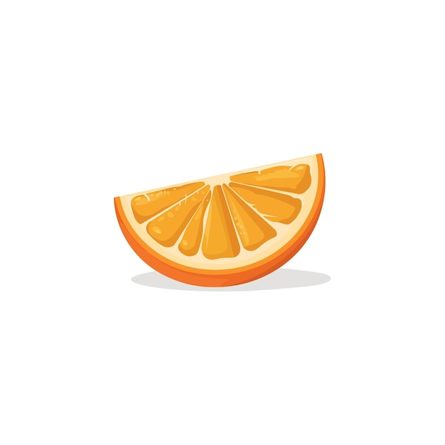 Orange Slice Segment Vector illustration design