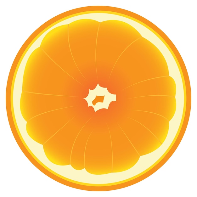 Orange slice vector illustration Cut fresh ripe orange