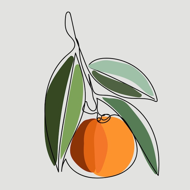 Orange tangerine mandarin one line drawn Tropical fruit with color spots Organic simple icon Food object in minimal graphic hand drawn style I