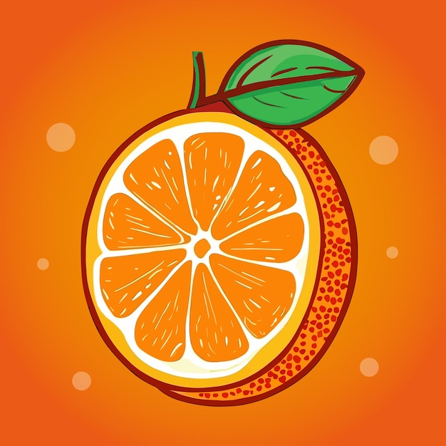 Orange vector icon illustration Fruit illustration sign collection