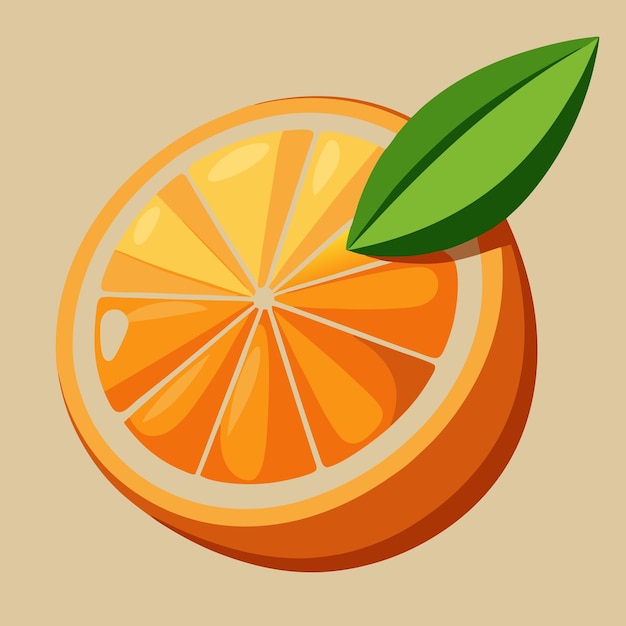 Orange vector and illustration