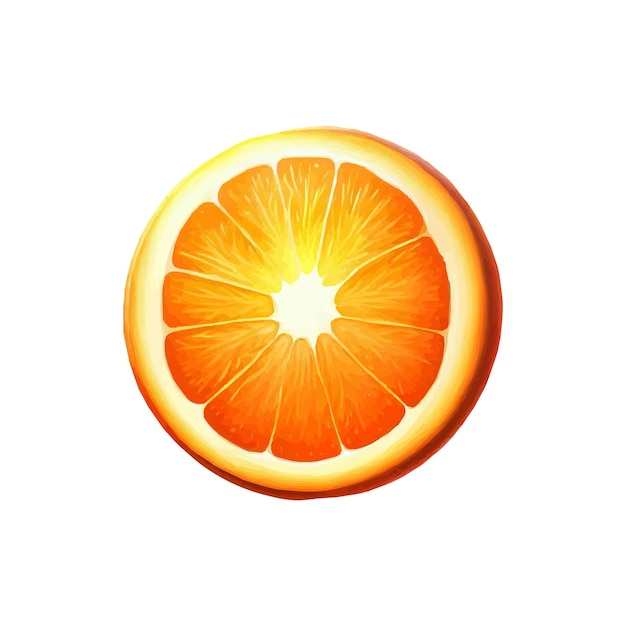 orange vector illustration