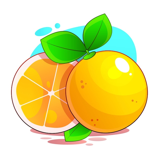 Orange whole and slices of oranges Vector illustration of oranges Fully editable handmade