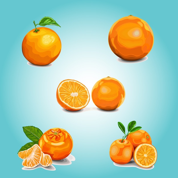 Oranges on color background. illustration, Oranges set