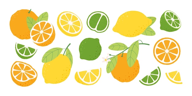 Oranges lemons fruits lemon slice and half Orange blossom branch fresh fruit for juice and vitamin diet Lime nature raw racy vector clipart