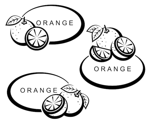 Oranges set Collection icons orange Vector