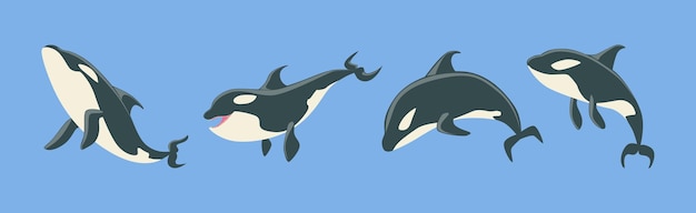 Orca Killer Whale Marine Large Mammal on Blue Background Vector Set