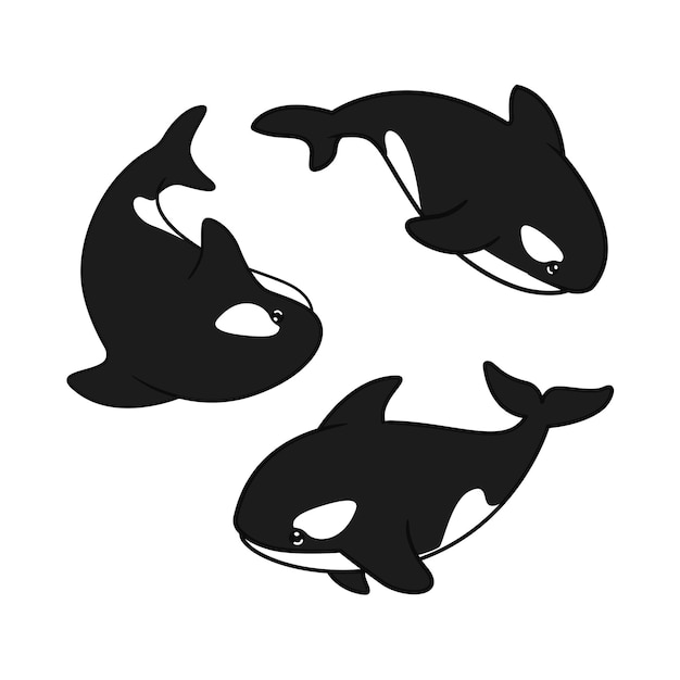 orca whale collection illustration design with various poses