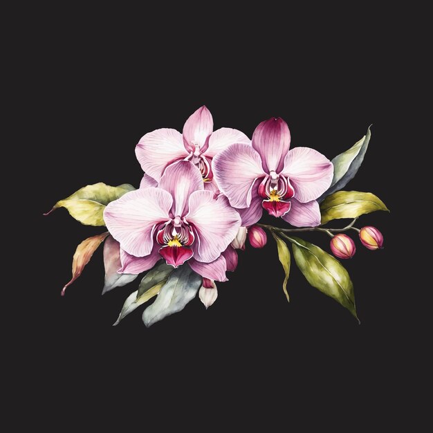 Vector orchid flower blooming watercolor illustration