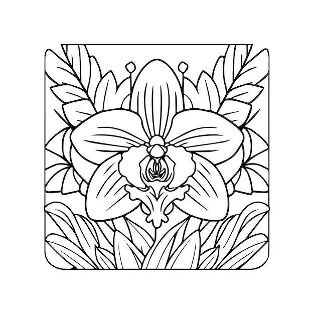 Orchid flower coloring pages Orchid flower outline vector