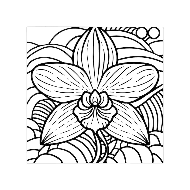 Orchid flower coloring pages Orchid flower outline vector