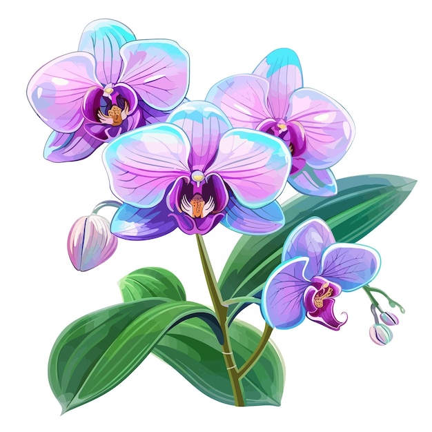 Orchid flowers