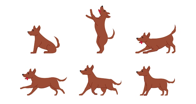 ordinary mongrel dog various poses flat line graphic isolated