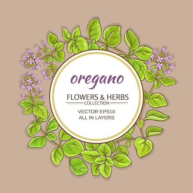 Oregano vector frame