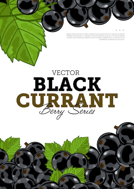 Organic berry banner with juicy black currant