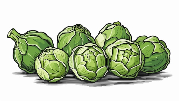 Organic Brussels Sprouts Graphic