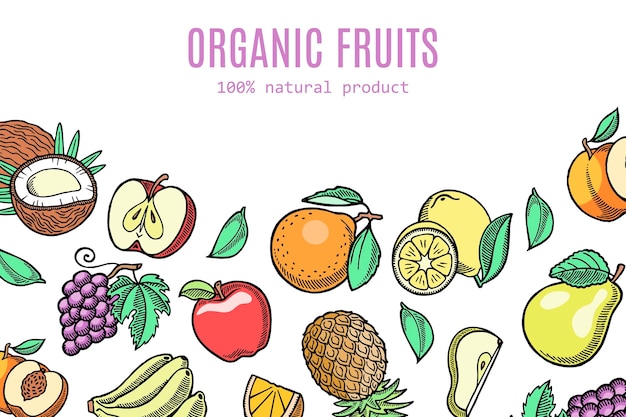 Organic eco fruits illustration. 