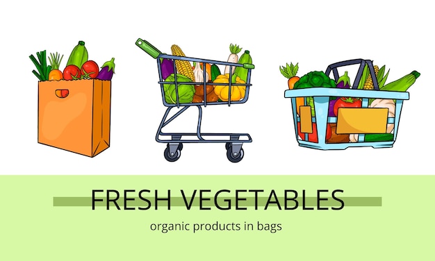 Organic food in bag and basket Cartoon style Shopping in the store